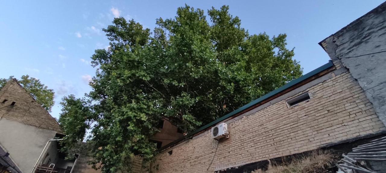 Apartmani Dld Ns نوفي ساد المظهر الخارجي الصورة