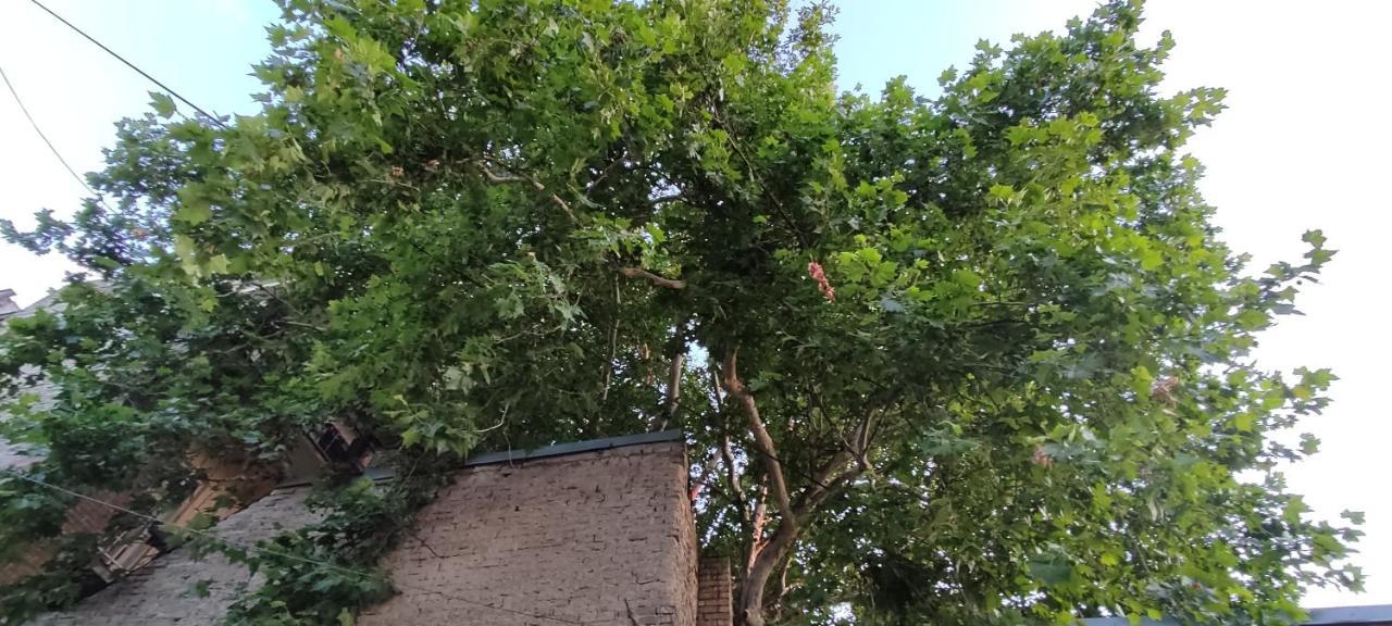 Apartmani Dld Ns نوفي ساد المظهر الخارجي الصورة